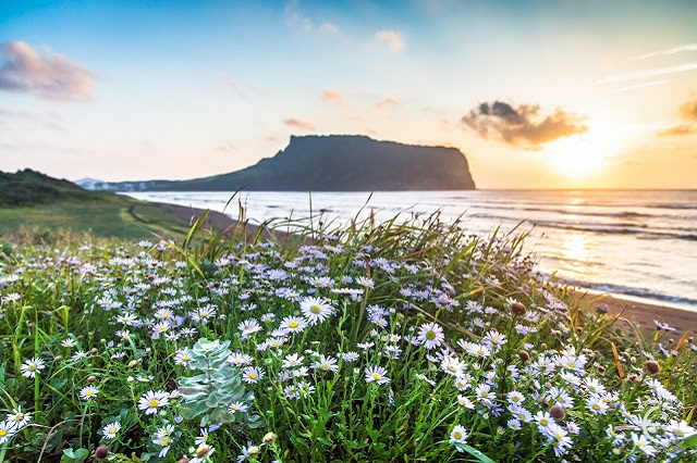 Vé máy bay đi Jeju từ Tp.Hồ Chí Minh