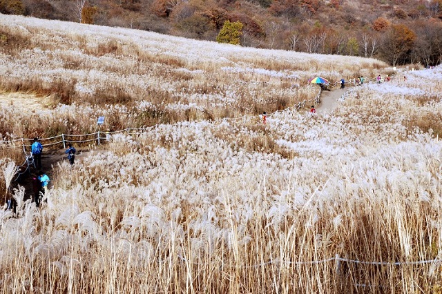 Vé máy bay đi Ulsan từ Tp.Hồ Chí Minh