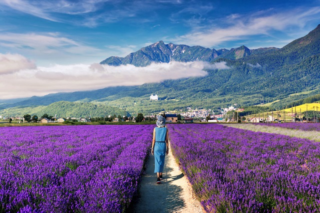 Những điểm du lịch nổi tiếng ở Hokkaido