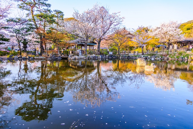 Trải nghiệm những điều thú vị  chỉ có ở Kyoto