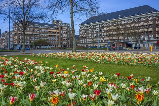 Trãi nghiệm những lễ hội đặc sắc ở Amsterdam