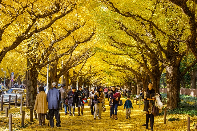 Điểm ngắm lá thu đẹp nhất ở Tokyo