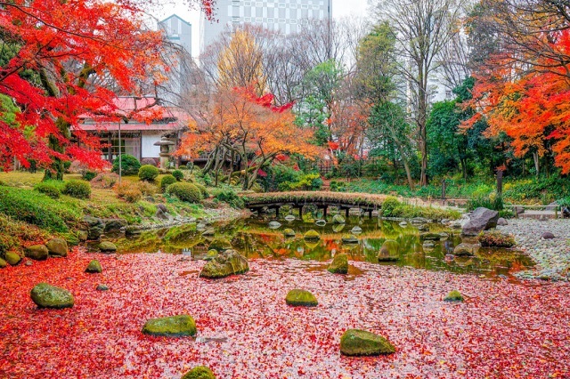 Điểm ngắm lá thu đẹp nhất ở Tokyo