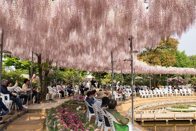 Công viên Ashikaga – điểm ngắm hoa tuyệt đẹp gần Tokyo