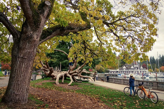 Điểm du lịch nổi tiếng ở Vancouver