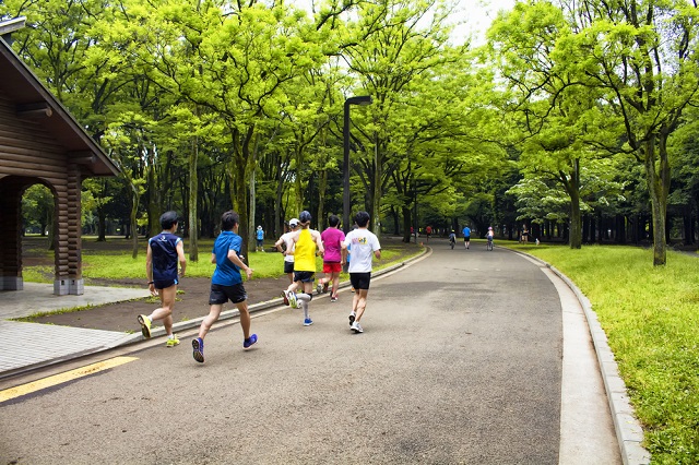 Ghé thăm Yoyogi - công viên đẹp nhất Tokyo Nhật Bản