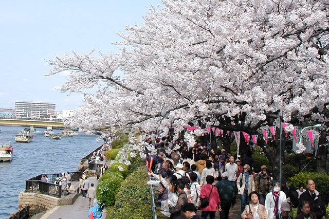 Khám phá những lễ hội truyền thống đặc sắc ở Nhật Bản, vé má bay đi Nhật bản giá rẻ
