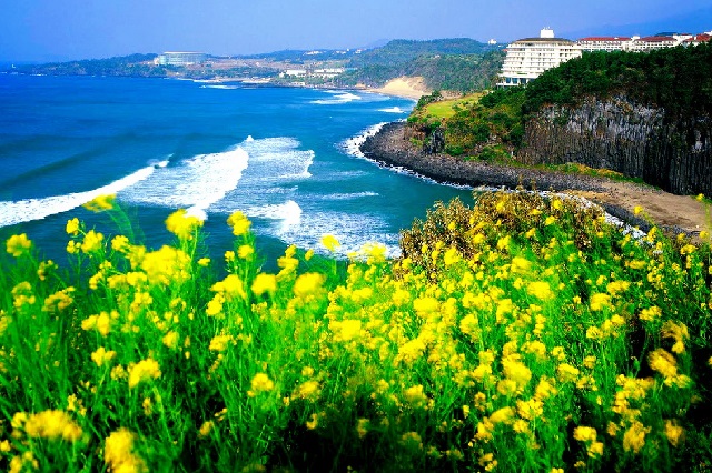 Kinh nghiệm du lịch Jeju tự túc