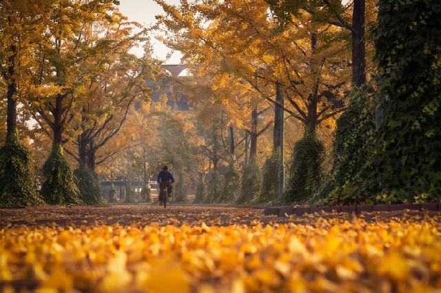 Kinh nghiệm du lịch Ulsan Hàn Quốc