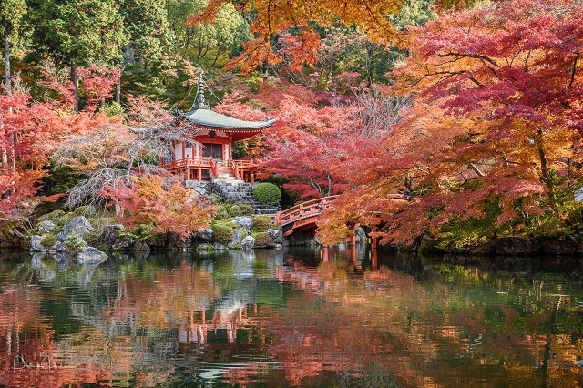 Khám phá điều thú vị tại thành phố di sản Kyoto của Nhật