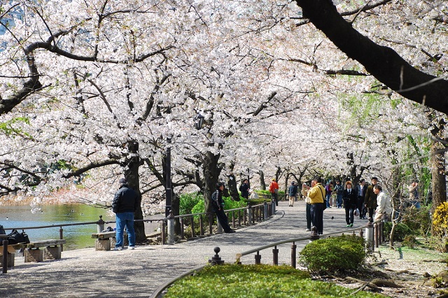 Thư giãn ở những công viên tuyệt vời nhất Tokyo