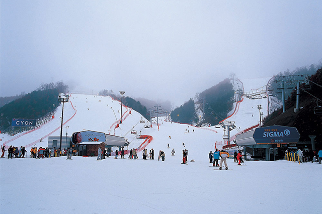 Trượt tuyết mùa đông tại Hàn Quốc